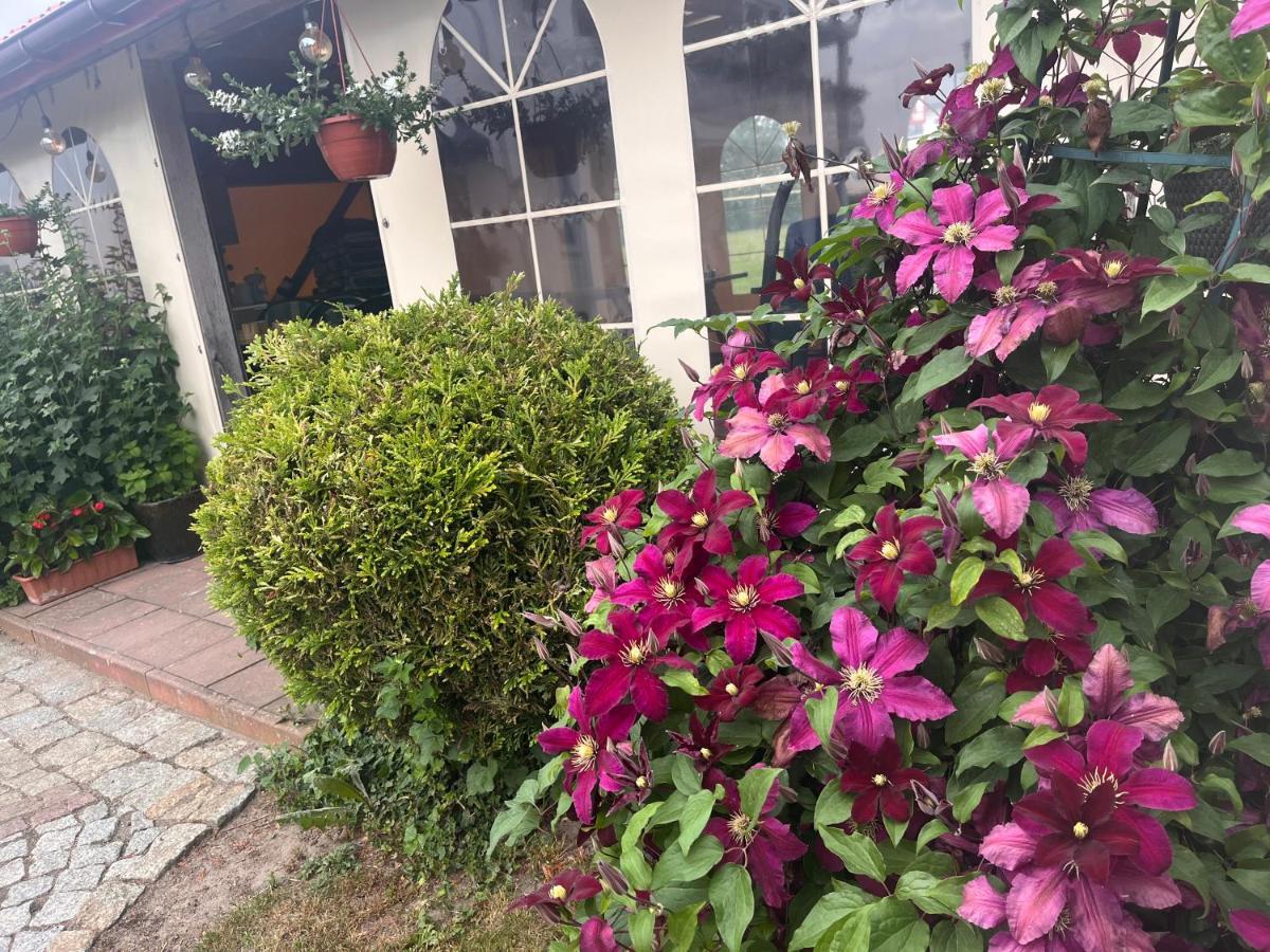 Villa Marlena อุสตรอเนียมอร์สเกีย ภายนอก รูปภาพ